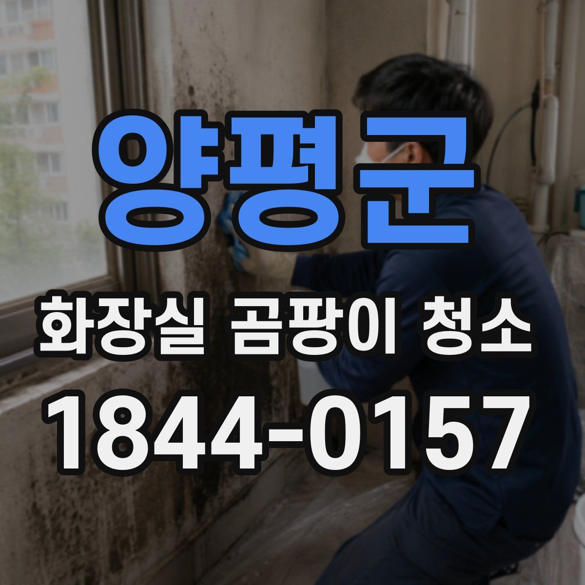 양평군 화장실 곰팡이 청소