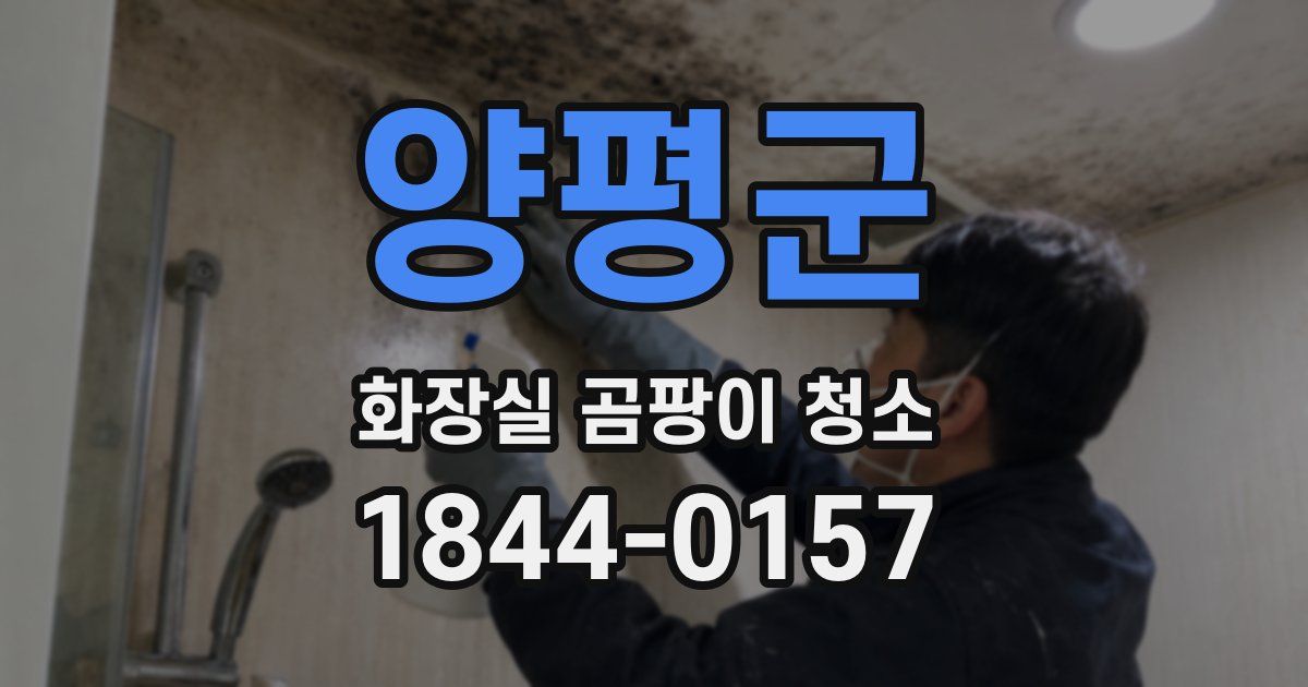 양평군 화장실 곰팡이 청소
