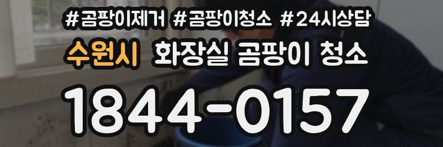 수원시 화장실 곰팡이 청소