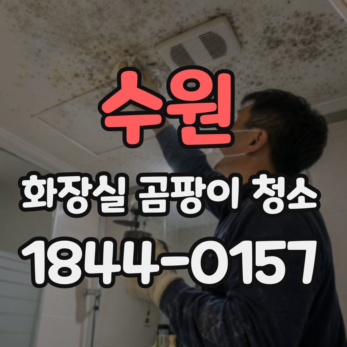 수원 화장실 곰팡이 청소