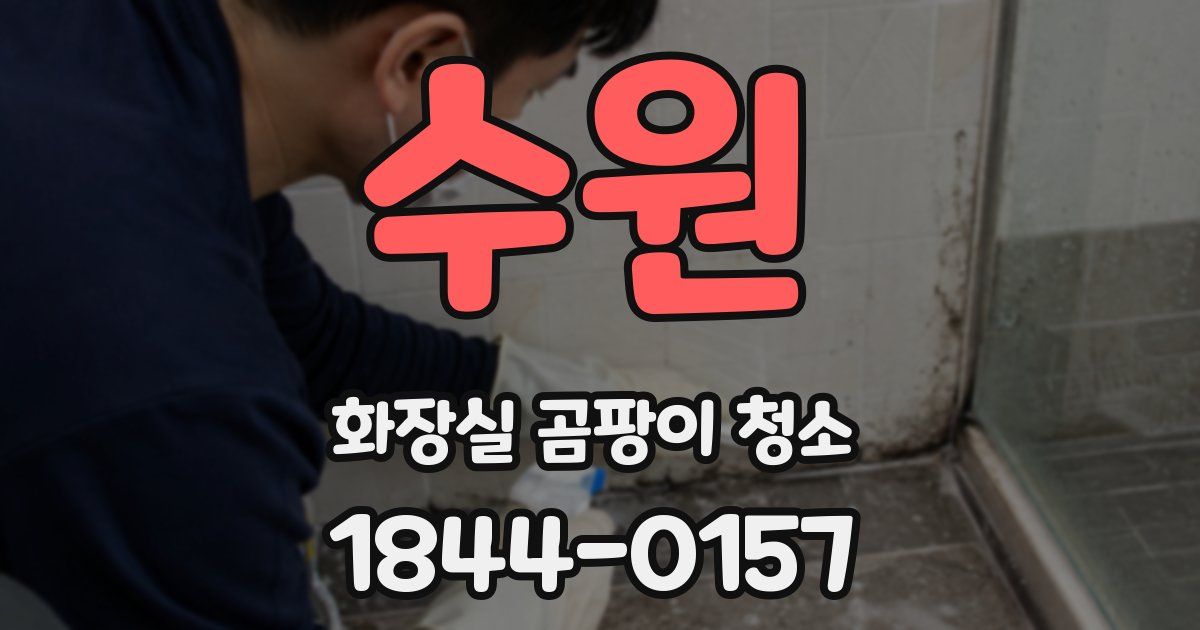 수원 화장실 곰팡이 청소