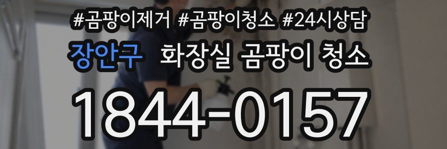 장안구 화장실 곰팡이 청소
