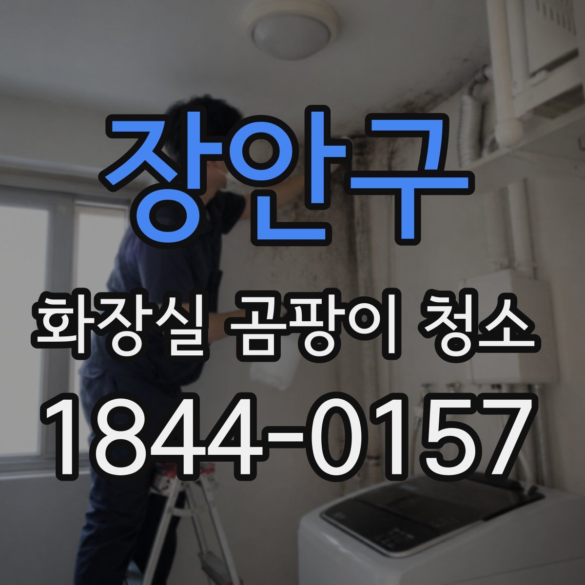 장안구 화장실 곰팡이 청소