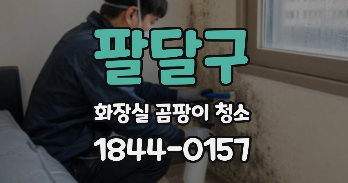 팔달구 화장실 곰팡이 청소