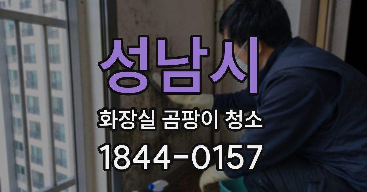 성남시 화장실 곰팡이 청소