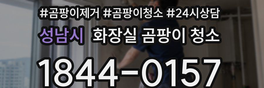 성남시 화장실 곰팡이 청소