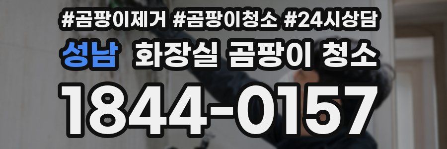성남 화장실 곰팡이 청소