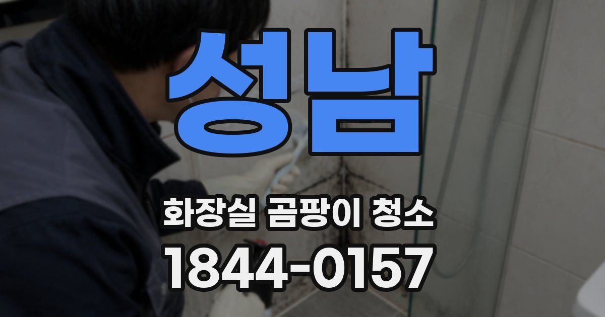성남 화장실 곰팡이 청소