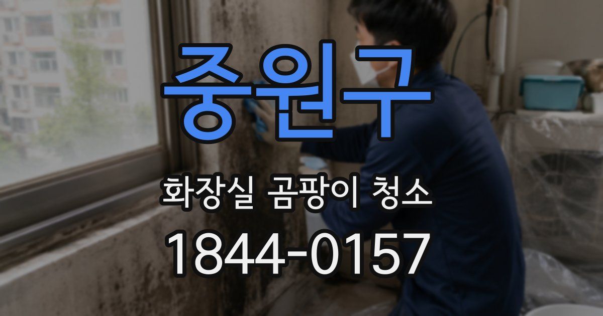 중원구 화장실 곰팡이 청소