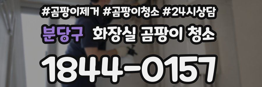 분당구 화장실 곰팡이 청소