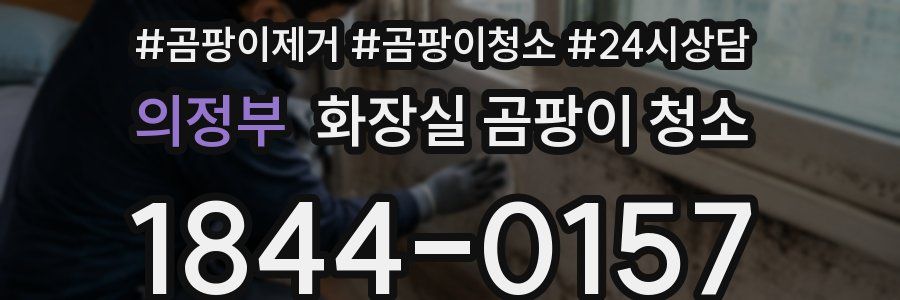 의정부 화장실 곰팡이 청소