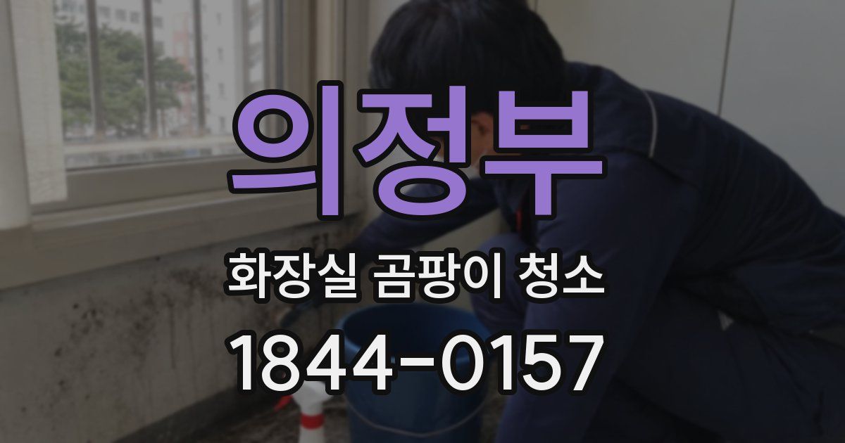 의정부 화장실 곰팡이 청소