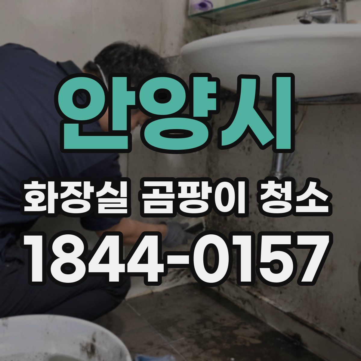 안양시 화장실 곰팡이 청소