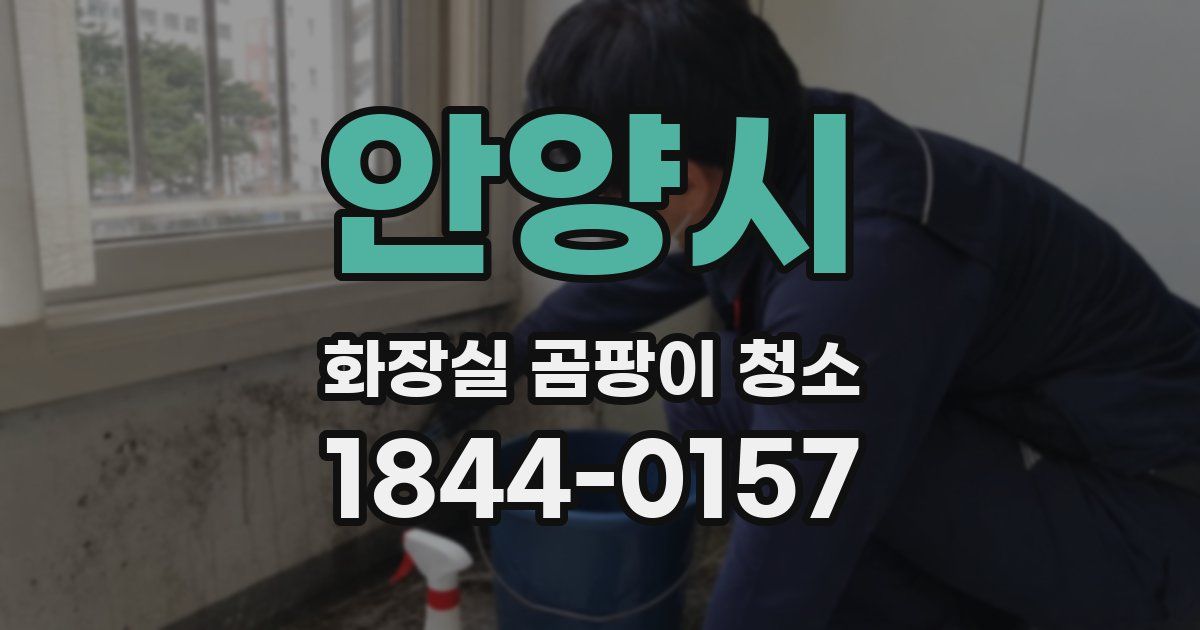 안양시 화장실 곰팡이 청소