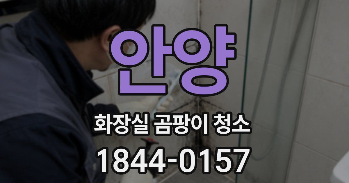 안양 화장실 곰팡이 청소