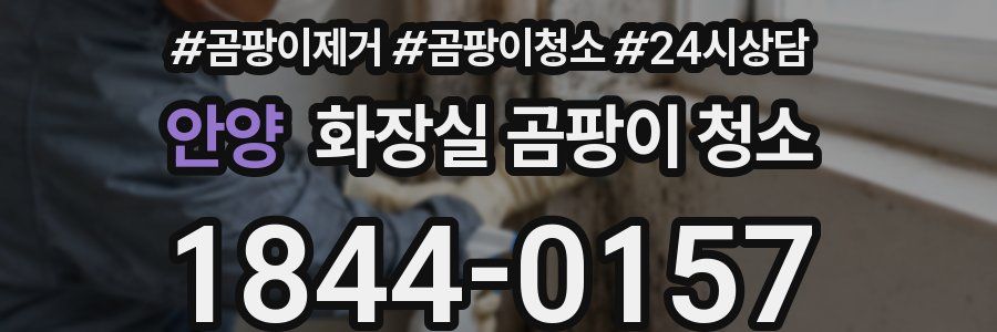 안양 화장실 곰팡이 청소