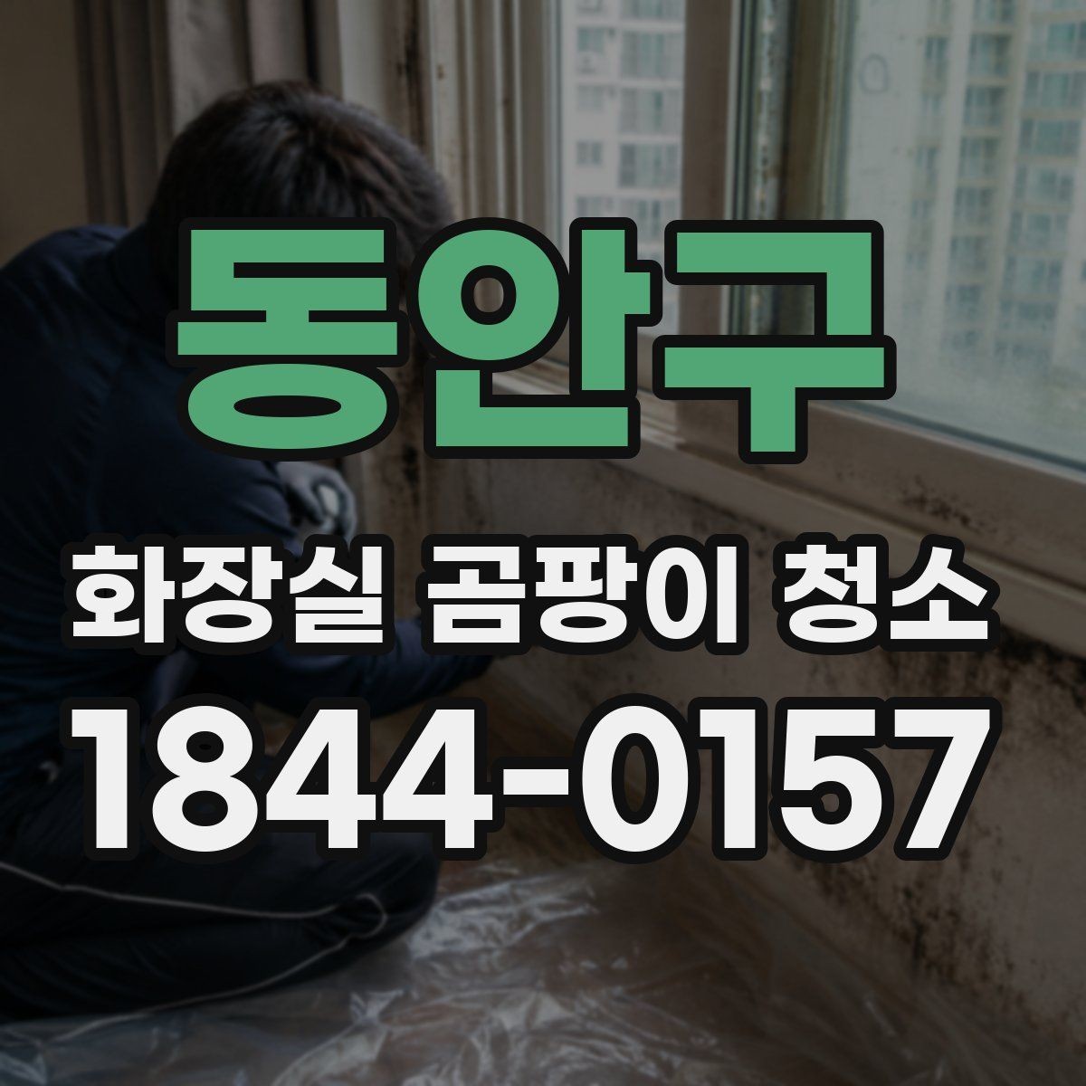 동안구 화장실 곰팡이 청소 광택 타일과 무광 타일에 맞는 세척 포인트
