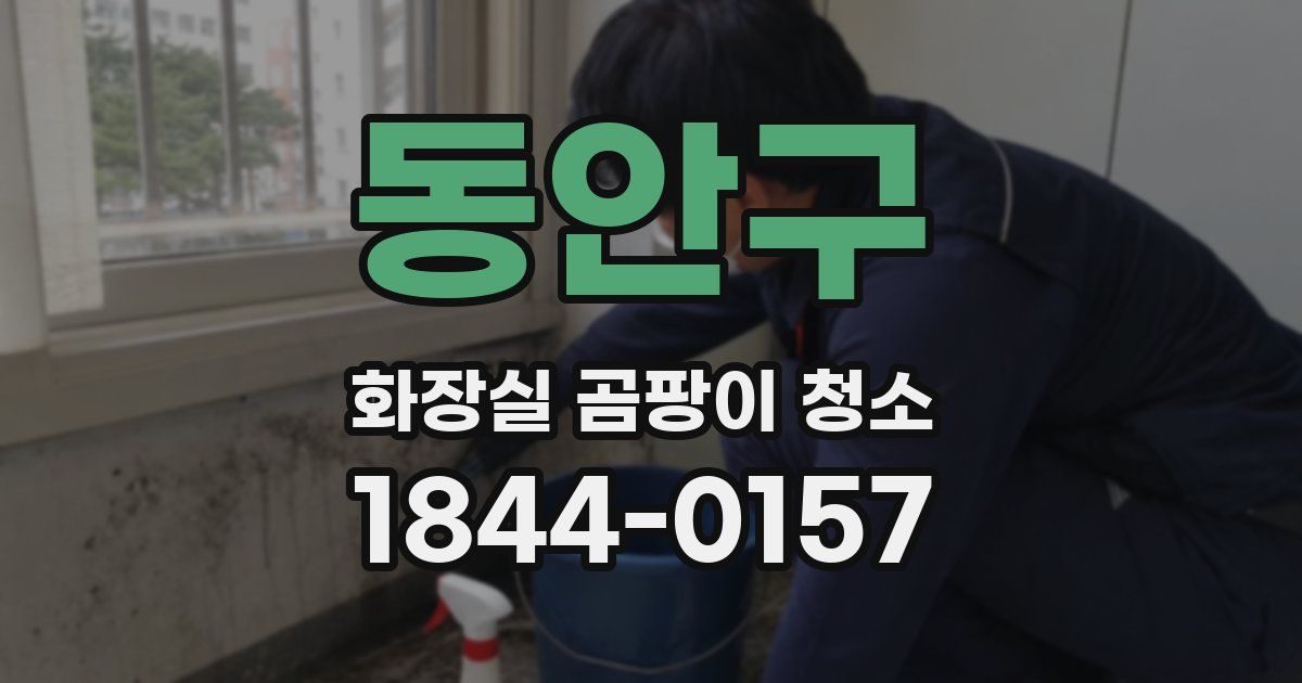 동안구 화장실 곰팡이 청소