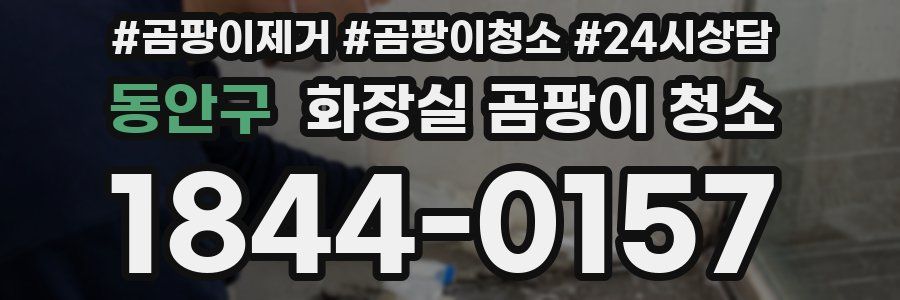 동안구 화장실 곰팡이 청소