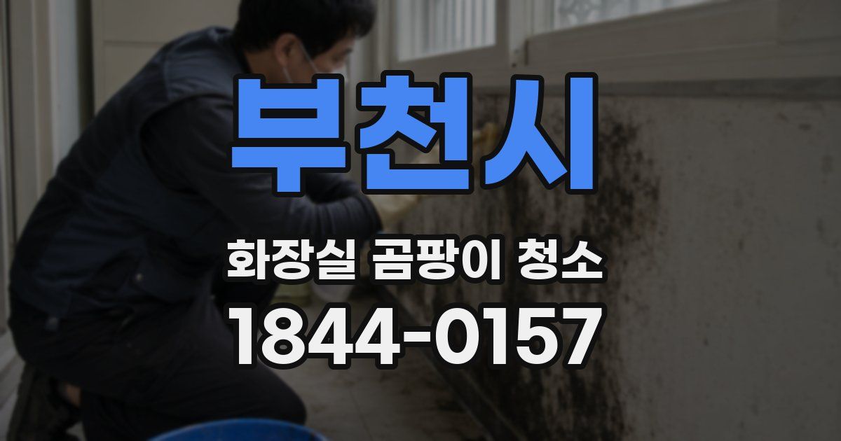 부천시 화장실 곰팡이 청소