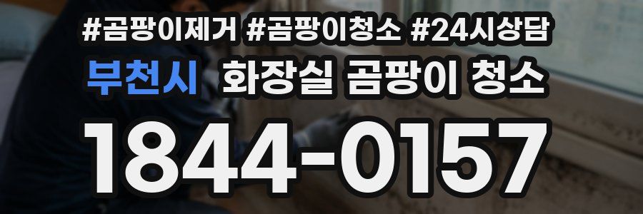 부천시 화장실 곰팡이 청소