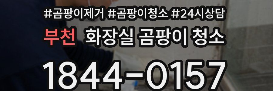 부천 화장실 곰팡이 청소