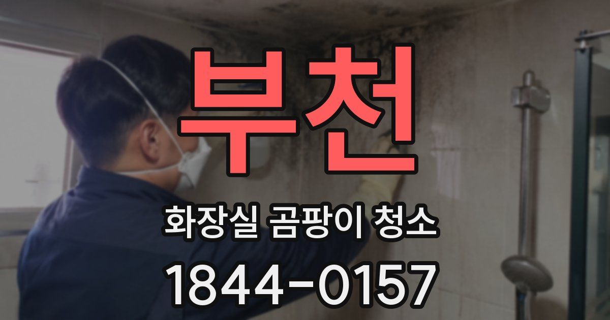 부천 화장실 곰팡이 청소