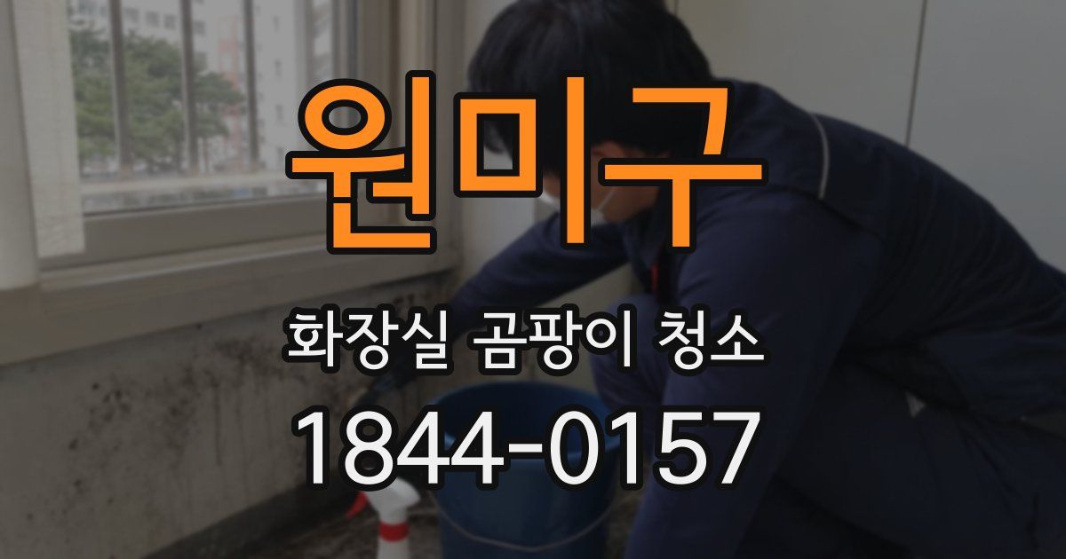 원미구 화장실 곰팡이 청소