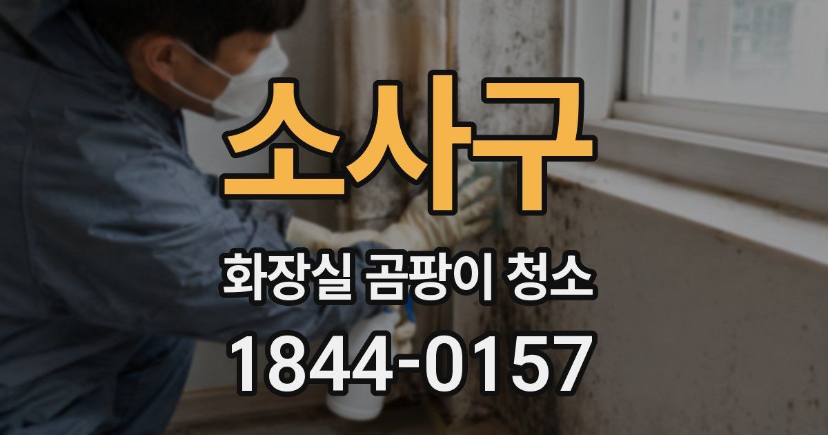 소사구 화장실 곰팡이 청소