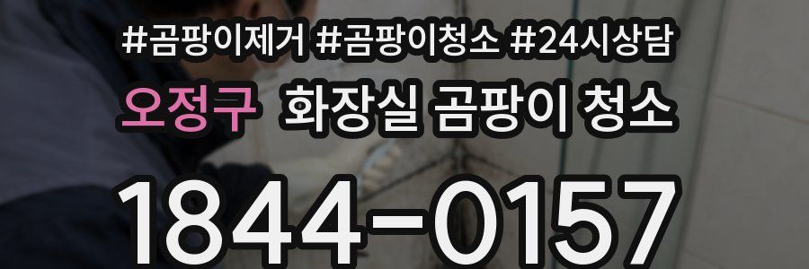 오정구 화장실 곰팡이 청소