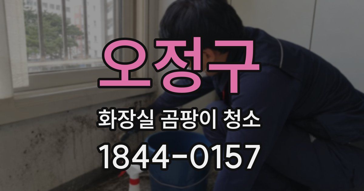 오정구 화장실 곰팡이 청소