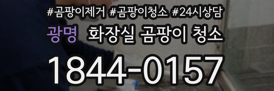 광명 화장실 곰팡이 청소