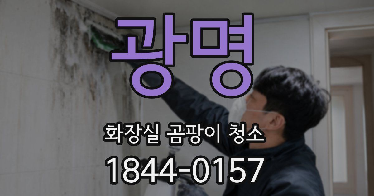 광명 화장실 곰팡이 청소