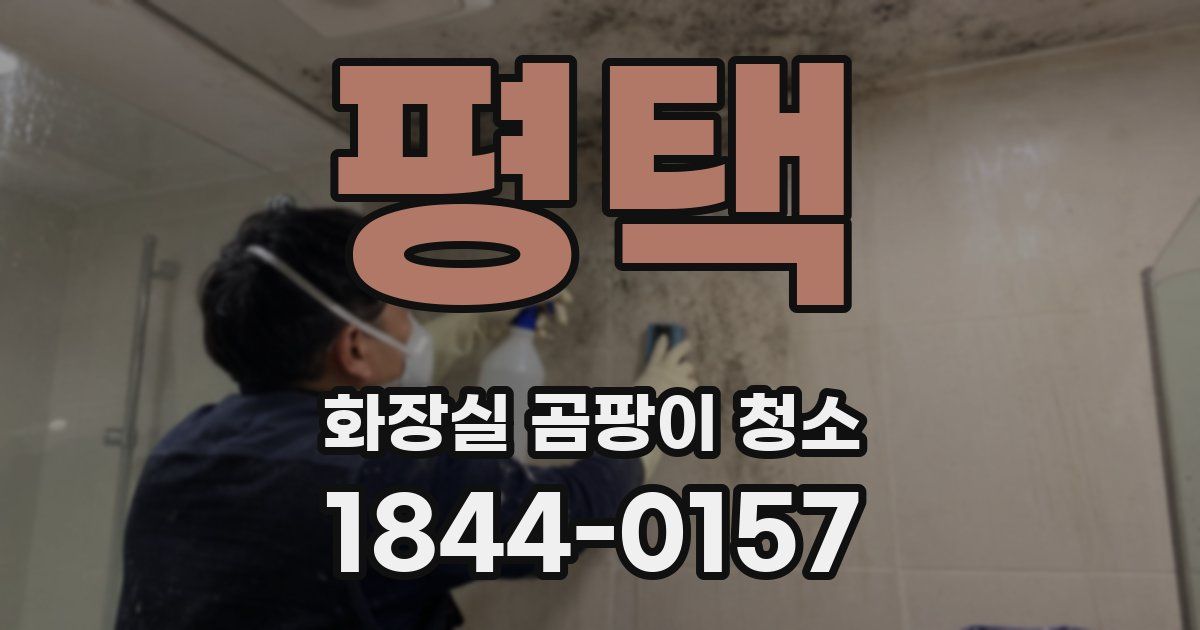 평택 화장실 곰팡이 청소