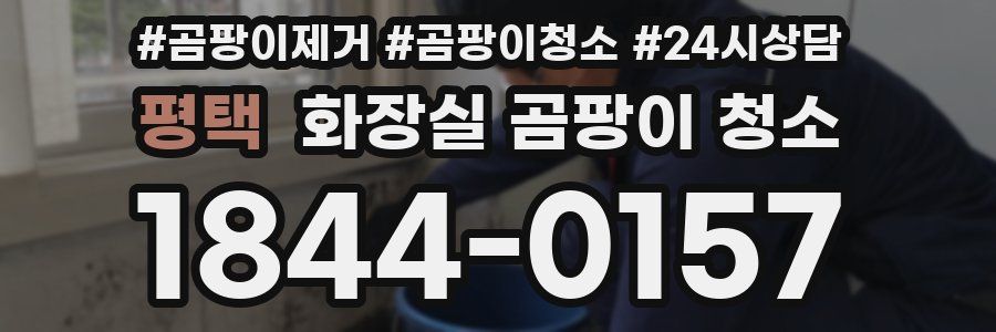 평택 화장실 곰팡이 청소