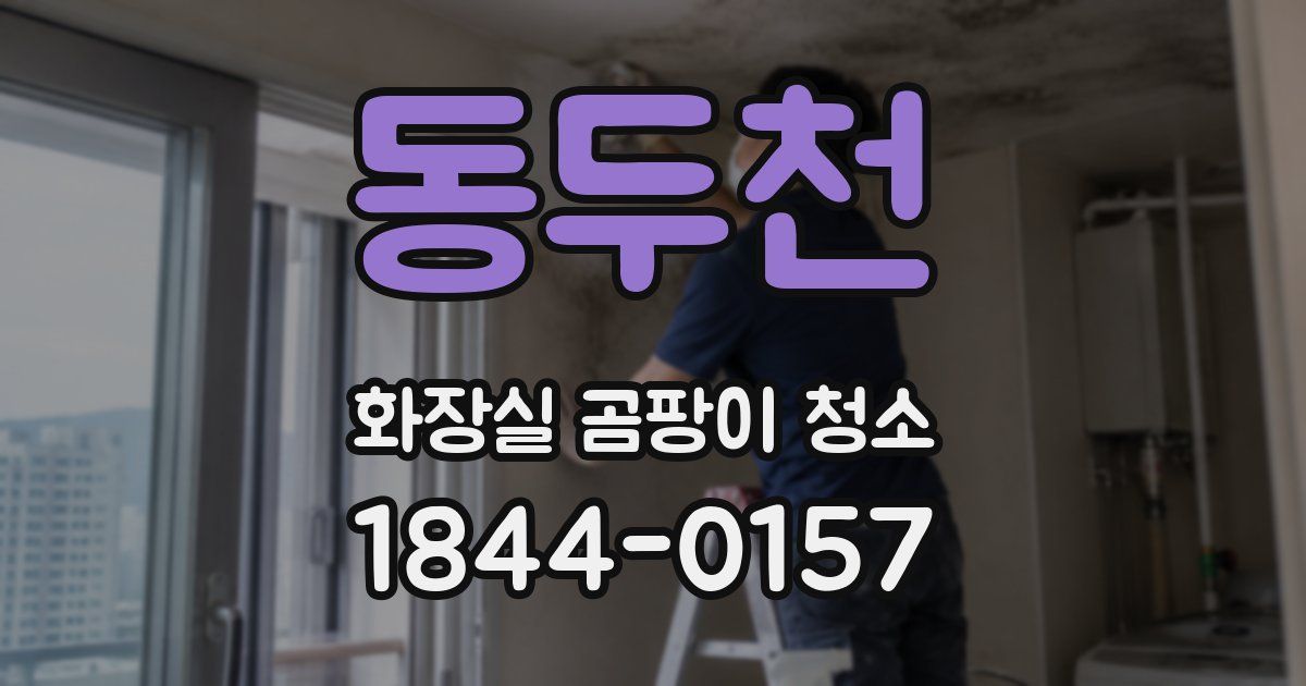 동두천 화장실 곰팡이 청소