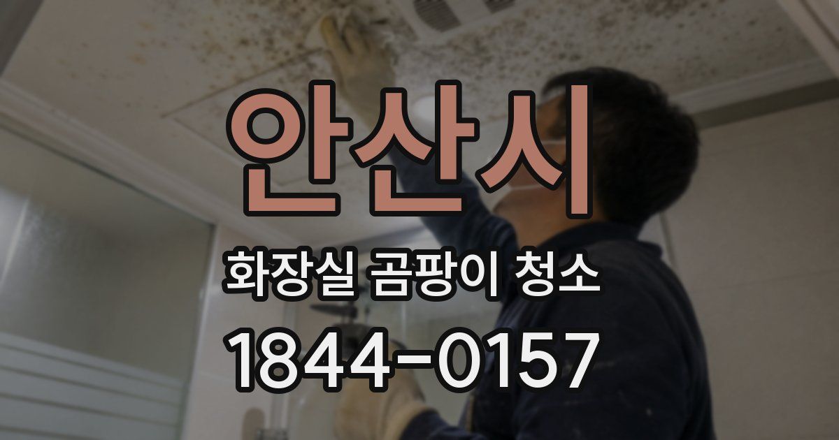 안산시 화장실 곰팡이 청소