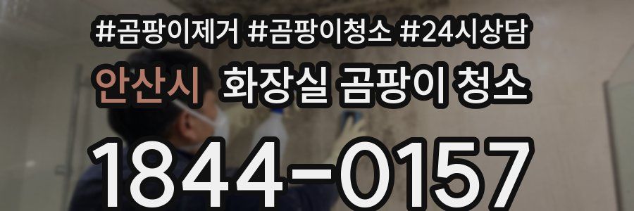 안산시 화장실 곰팡이 청소