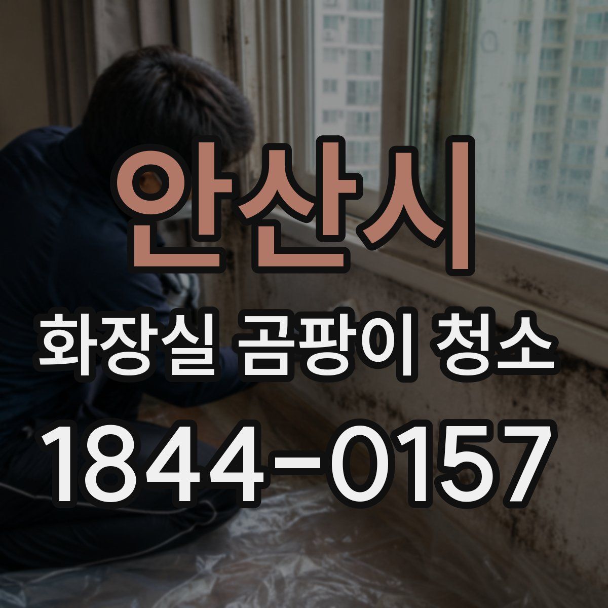 안산시 화장실 곰팡이 청소