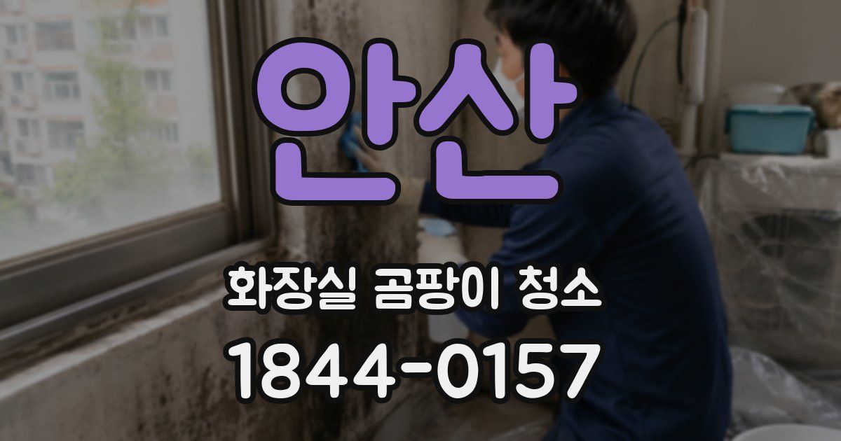 안산 화장실 곰팡이 청소