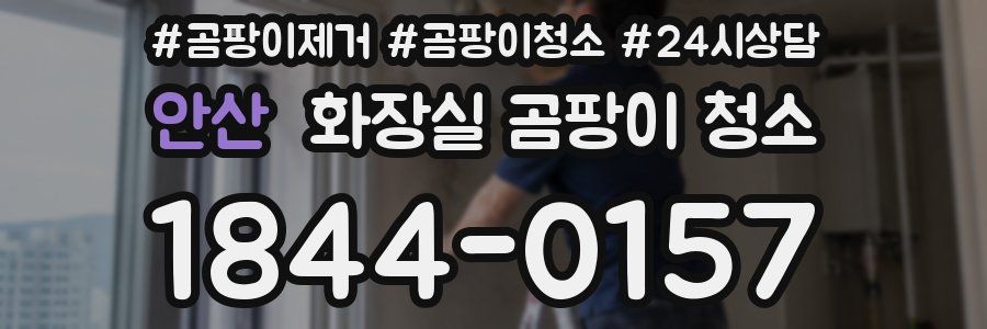안산 화장실 곰팡이 청소