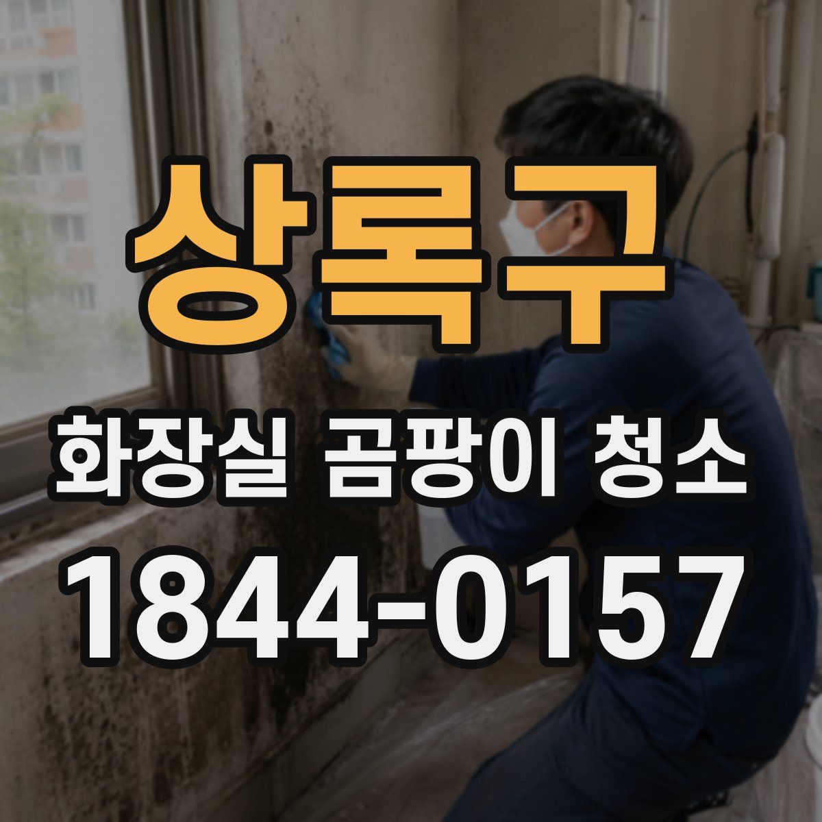 상록구 화장실 곰팡이 청소
