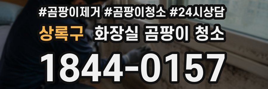 상록구 화장실 곰팡이 청소