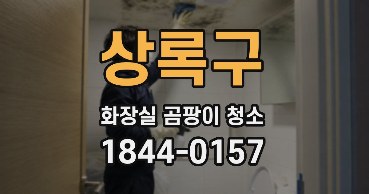 상록구 화장실 곰팡이 청소