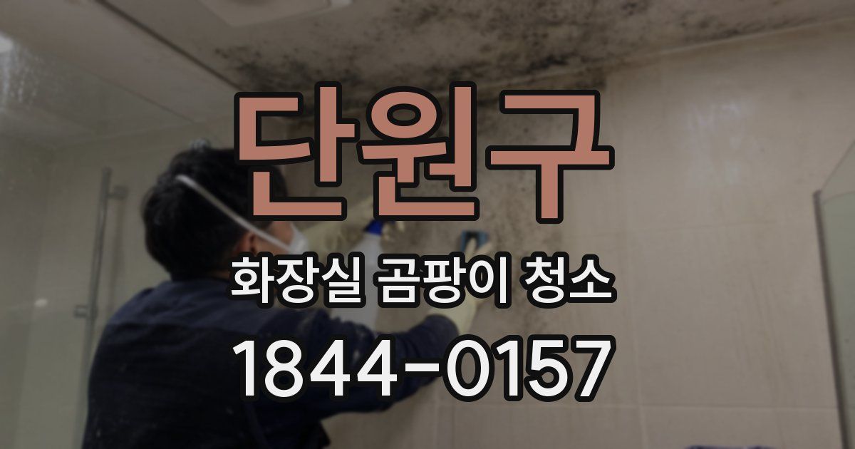 단원구 화장실 곰팡이 청소