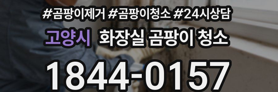 고양시 화장실 곰팡이 청소