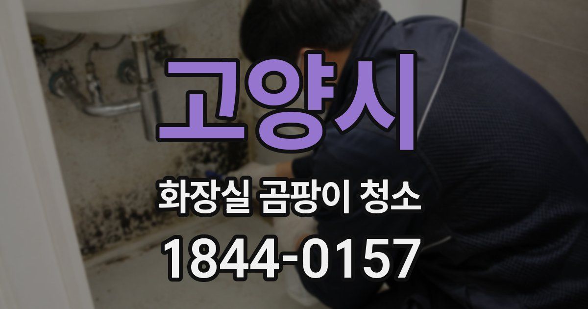 고양시 화장실 곰팡이 청소