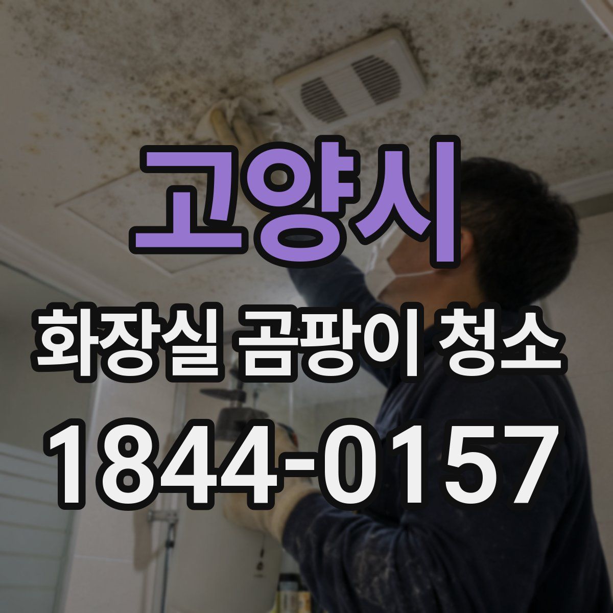 고양시 화장실 곰팡이 청소