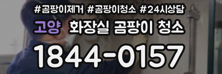 고양 화장실 곰팡이 청소