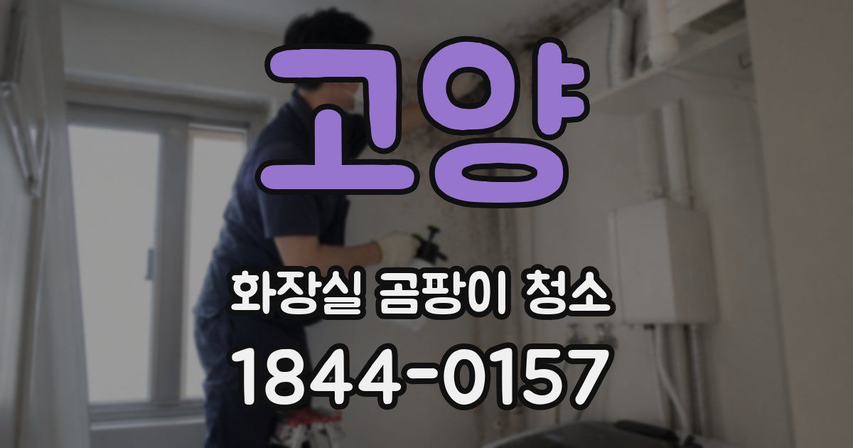 고양 화장실 곰팡이 청소